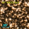 V* V423 Sct