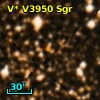 V* V3950 Sgr