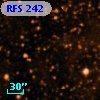 RFS  242
