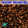 MACHO 303.44749.3841