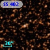 SS 402