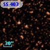 SS 403