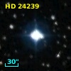 HD  24239