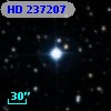 HD 237207