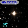 HD 237223