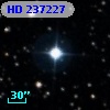 HD 237227