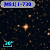 [M81] I-730