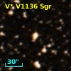V* V1136 Sgr
