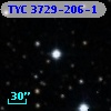 TYC 3729-206-1