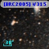[BRC2005] V315