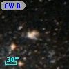 CW Blue  29