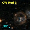 CW Red  1