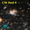 CW Red  4