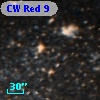 CW Red  9