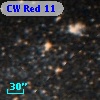 CW Red 11