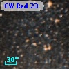 CW Red 23