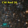 CW Red 36