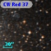 CW Red 37