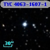 TYC 4063-1607-1