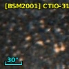 [BSM2001] CTIO-3102