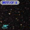 [H77] Cl*  1