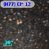 [H77] Cl* 12
