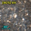 [H25]  VII