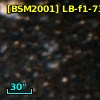 [BSM2001] LB-f1-739