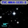 TYC 4064-1135-1