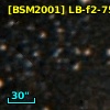 [BSM2001] LB-f2-75