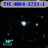 TYC 4064-1233-1
