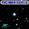 TYC 4064-1377-1