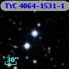 TYC 4064-1531-1