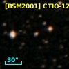 [BSM2001] CTIO-12