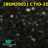 [BSM2001] CTIO-100