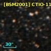 [BSM2001] CTIO-113