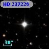 HD 237228