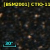 [BSM2001] CTIO-119