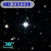 HD 237239