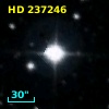 HD 237246