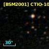 [BSM2001] CTIO-1029