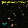 [BSM2001] CTIO-1081
