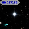 HD 237230