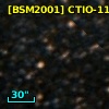 [BSM2001] CTIO-1103