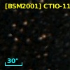 [BSM2001] CTIO-1111