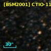 [BSM2001] CTIO-1113