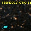 [BSM2001] CTIO-1114