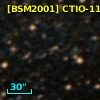 [BSM2001] CTIO-1115