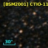 [BSM2001] CTIO-1116