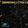 [BSM2001] CTIO-1119